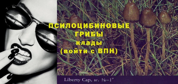 дурь Валдай