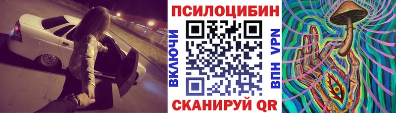 дарнет шоп Тарко-Сале даркнет официальный сайт Псилоцибиновые грибы GOLDEN TEACHER ссылка на мегу вход